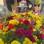 Hegemann Garni Hotel *