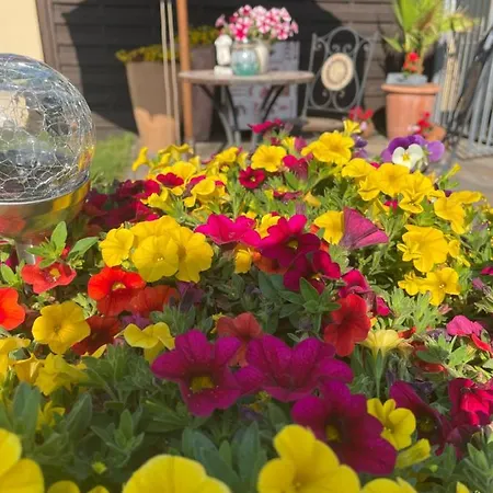 Hegemann Garni فندق *