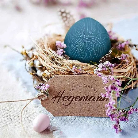 Hegemann Garni *
