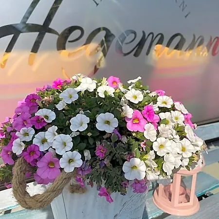 Hegemann Garni *