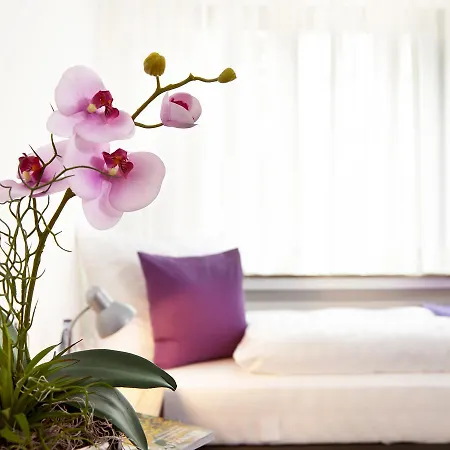 Hegemann Garni * Hövelhof