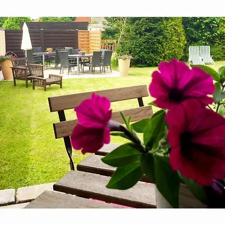 Отель Hegemann Garni *