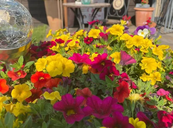 Hegemann Garni Hotel *