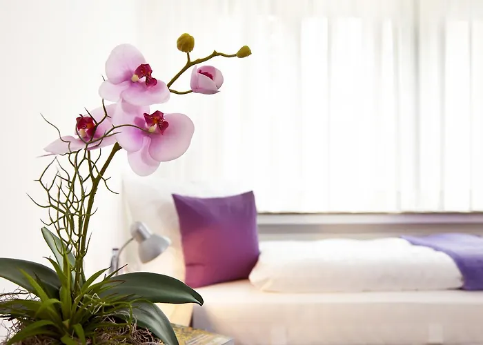 Hegemann Garni * Hövelhof